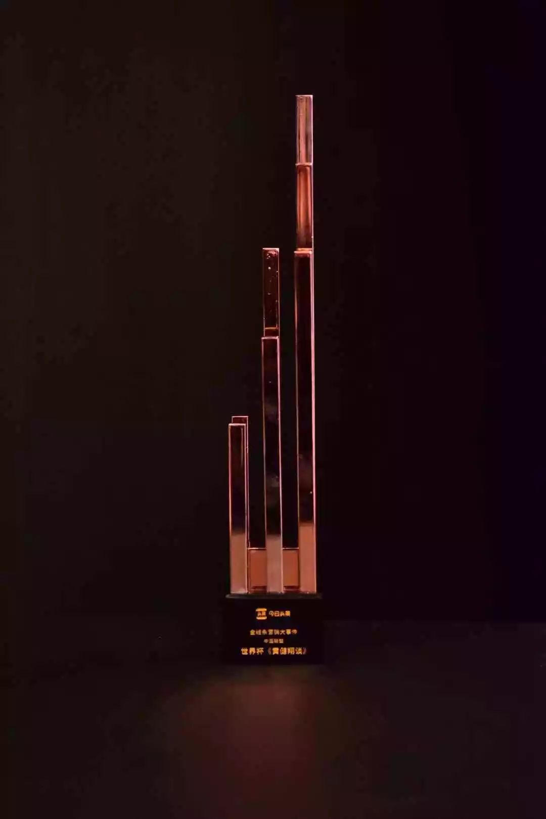 金線條營銷品牌獎——中國聯塑《世界杯——黃健翔談》